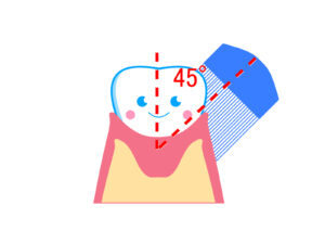 歯ブラシの当て方を説明したイラスト