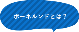 ボーネルンドとは？