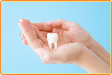 MTM（メディカルトリートメントモデル）